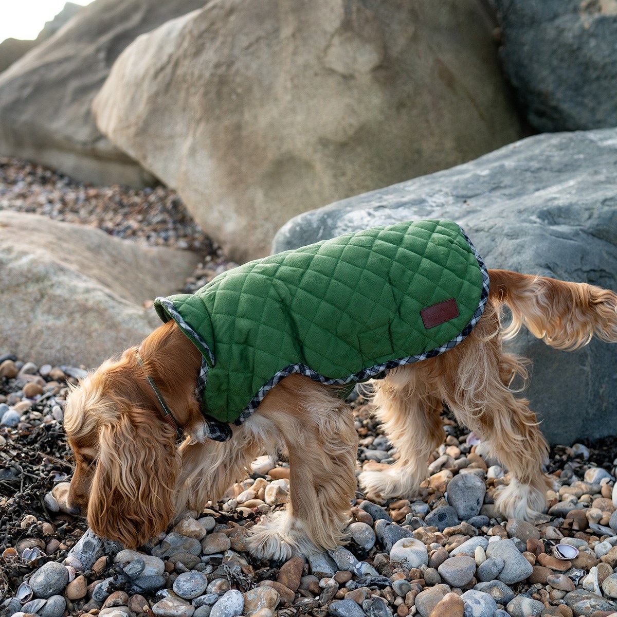 Great & Small Country Quilted Dog Coat Plaid/Green