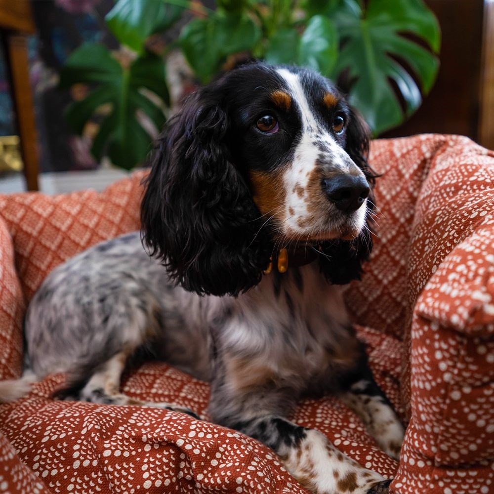 Green Elk Cuddle Pet Bed