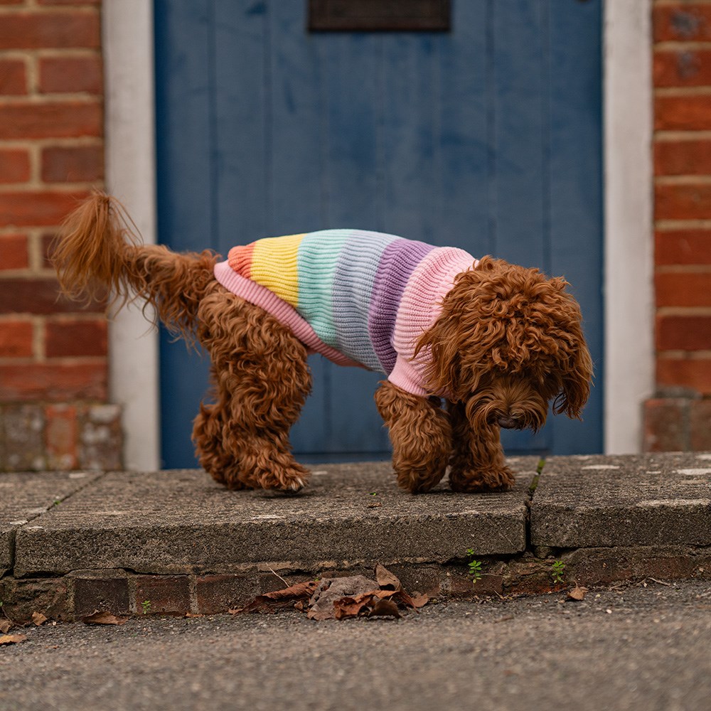 Great & Small Penrose Knitted Pastel Rainbow Dog Jumper
