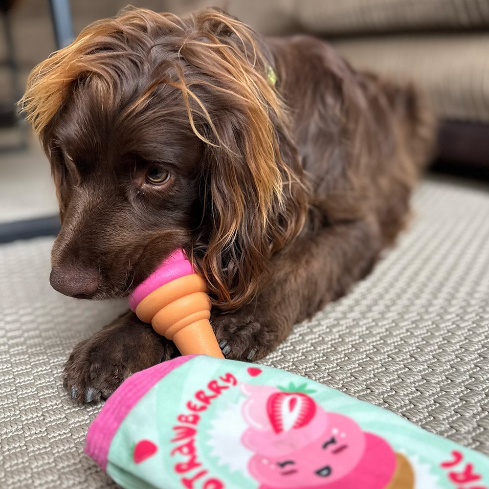 Great & Small Summer Sizzlers Wrapped Ice Cream Dog Toy