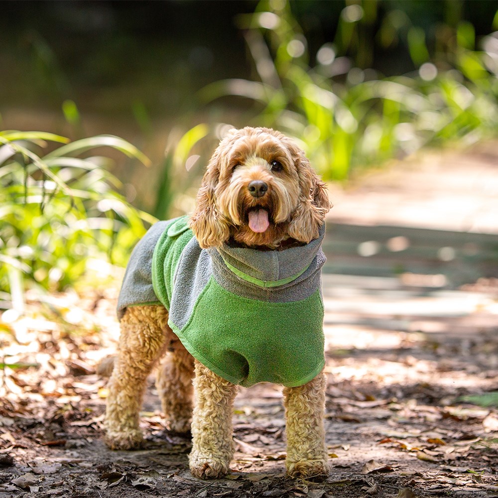 Harbour Hounds Drying Robe Grey/Green Exclusive Colour