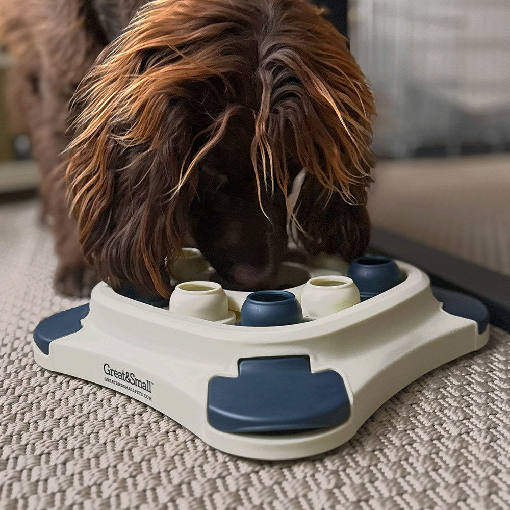 Great & Small Slow Down Square Puzzle Feeder