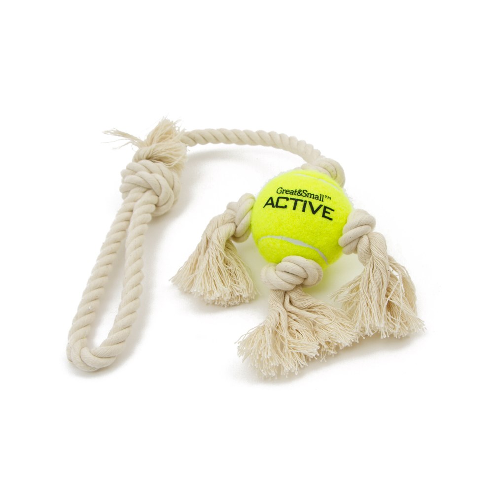 Great & Small Active Tennis Ball on Rope Tug Dog Toy