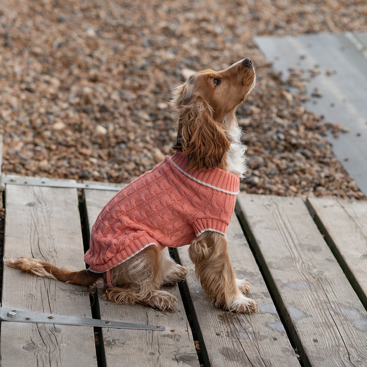 Great & Small Penrose Knit Peach Dog Jumper
