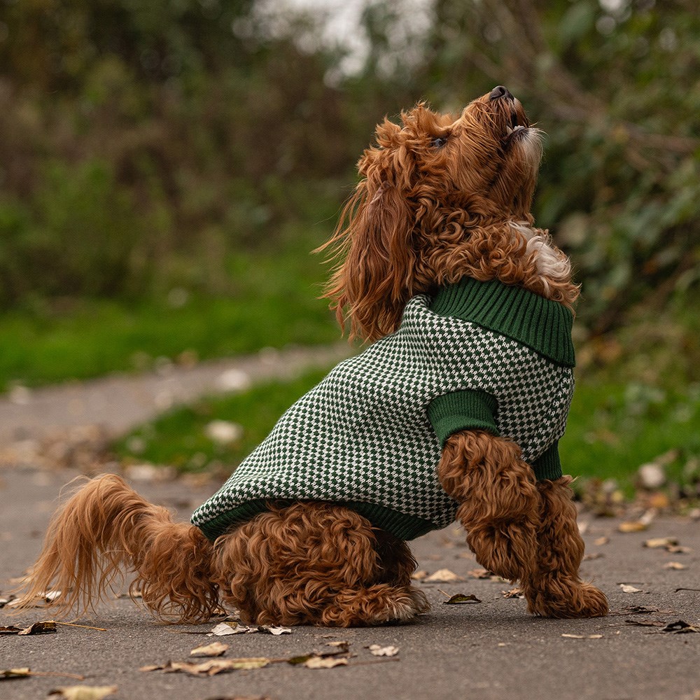 Penrose Knitted Green Checkered Dog Jumper