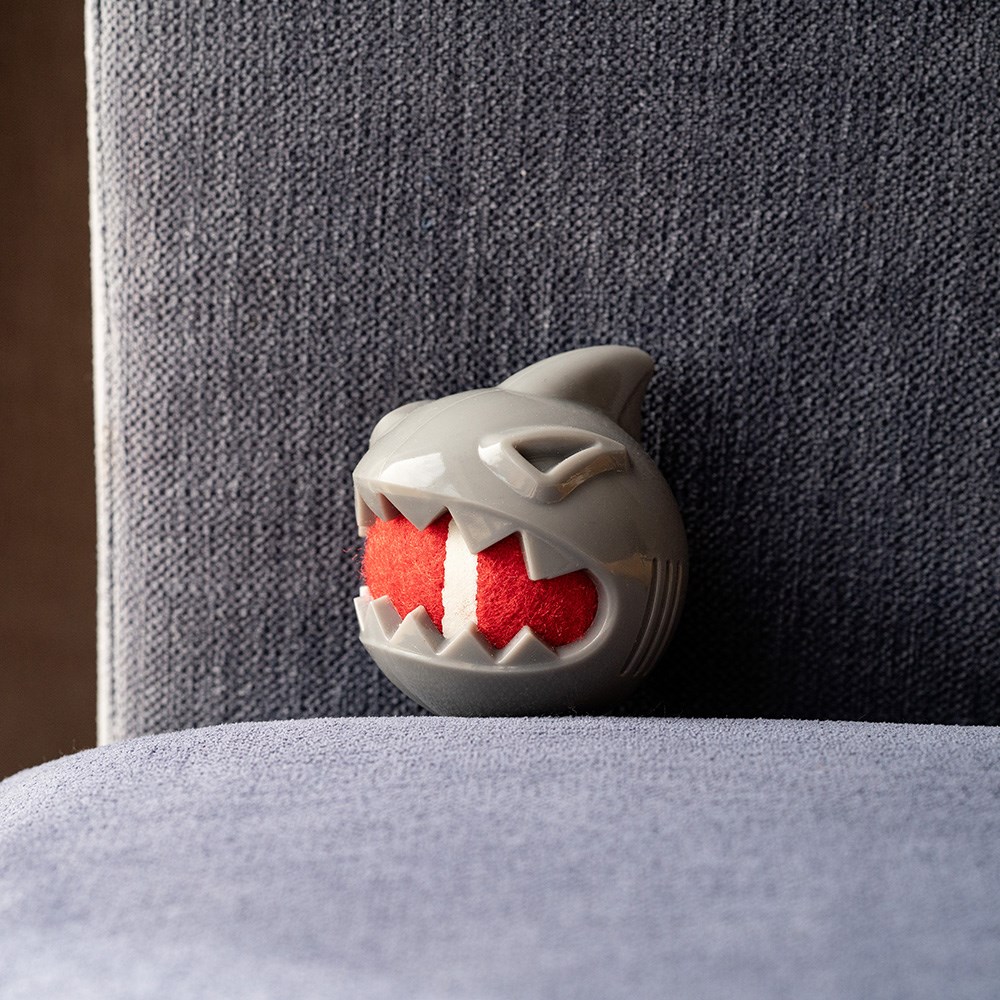 Great & Small Stay Wild Shark with Tennis Ball Dog Toy