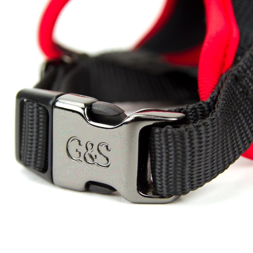 Great & Small Mesh Dog Harness
