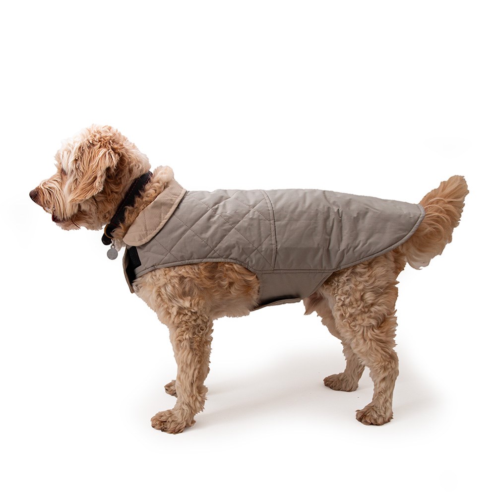 Great & Small Penrose Reversible Water Resistant Coat
