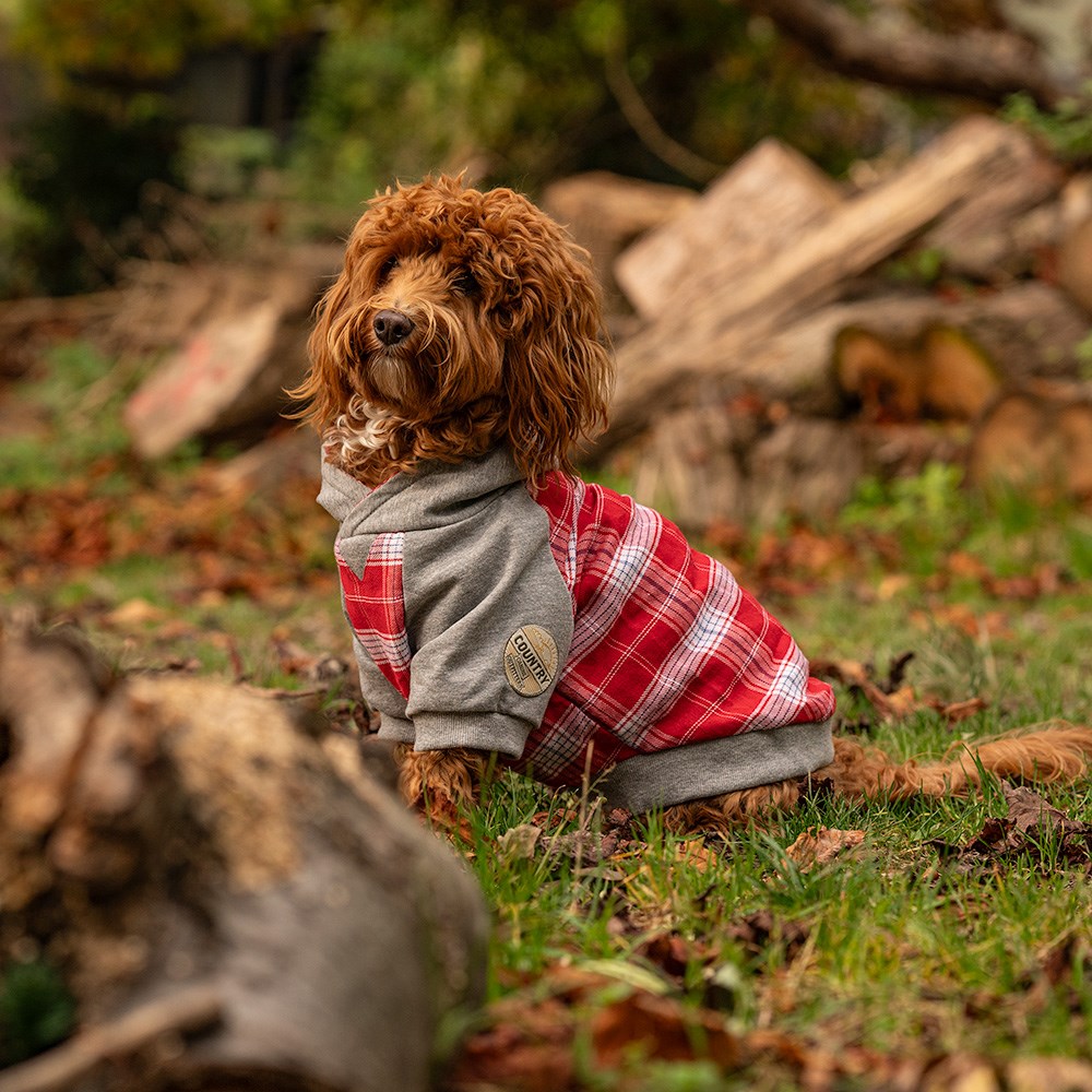 Great & Small Country Adventure Red Check Dog Hoodie