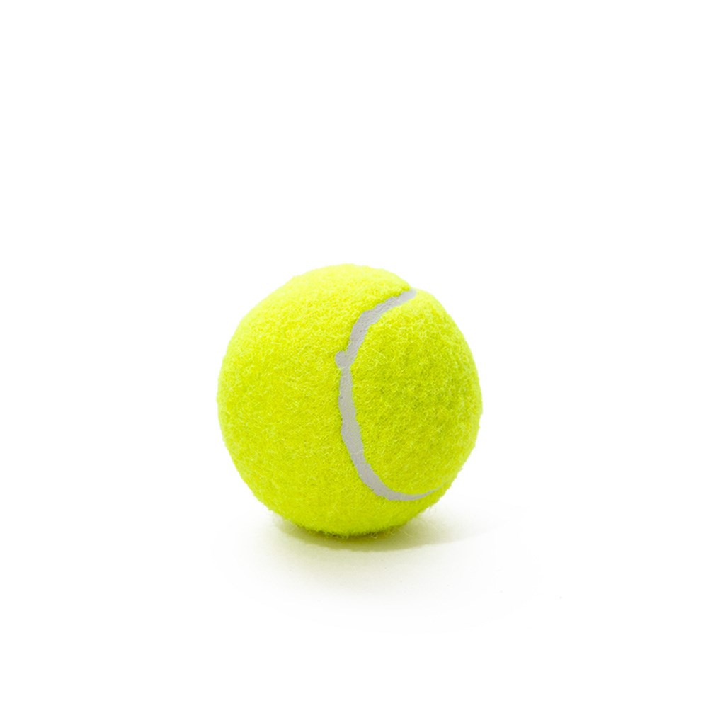 Great & Small Active Tennis Ball Dog Toy