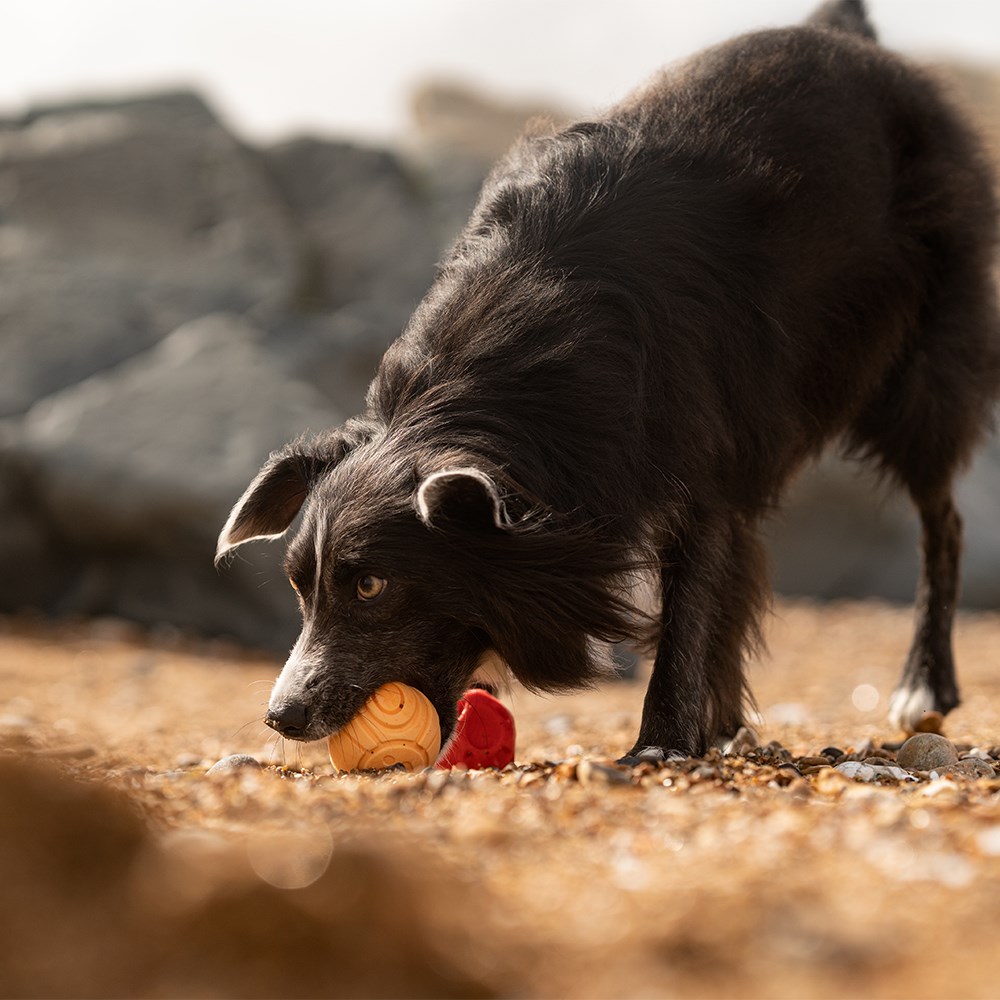 Great & Small Frubba Red Irregular Ball & Orange Paw Ball Dog Toy