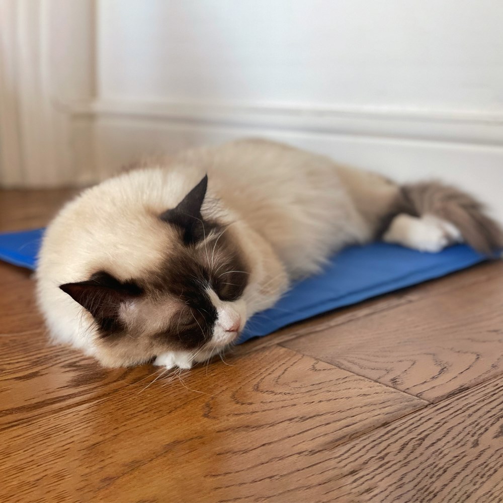 Great & Small Cool Pad Pet Bed