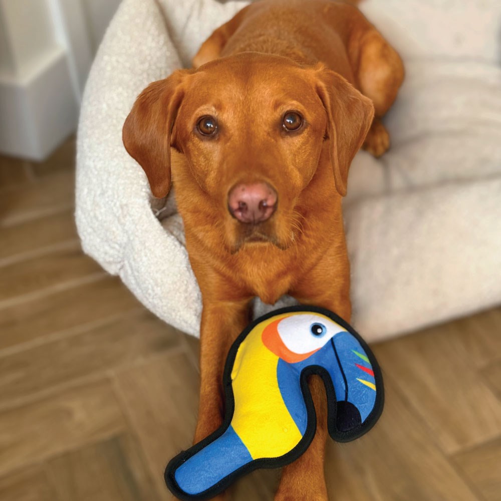 Great & Small Fortress Toucan Extra Large Dog Toy