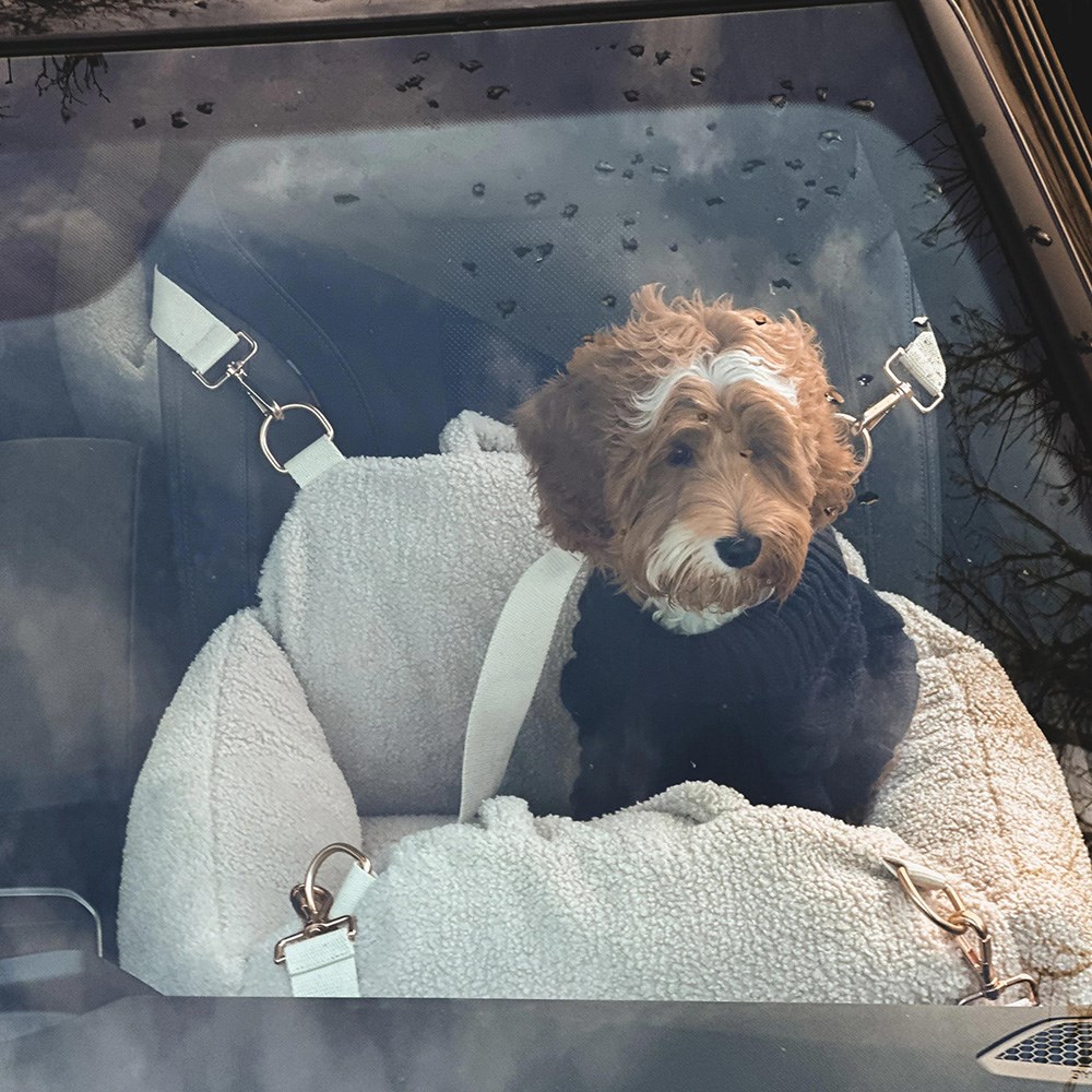 By Teddy Bouclé Car Carrier