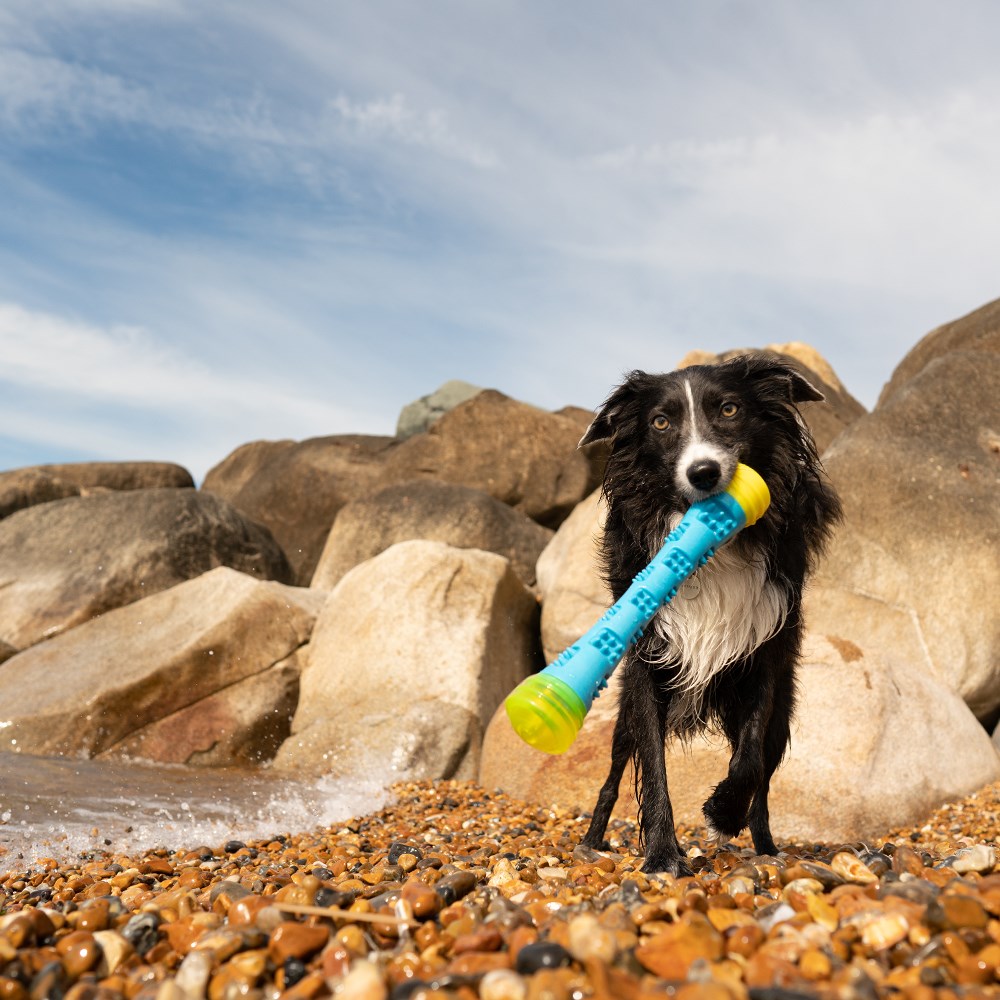 Great & Small Frubba Flash Stick Dog Toy