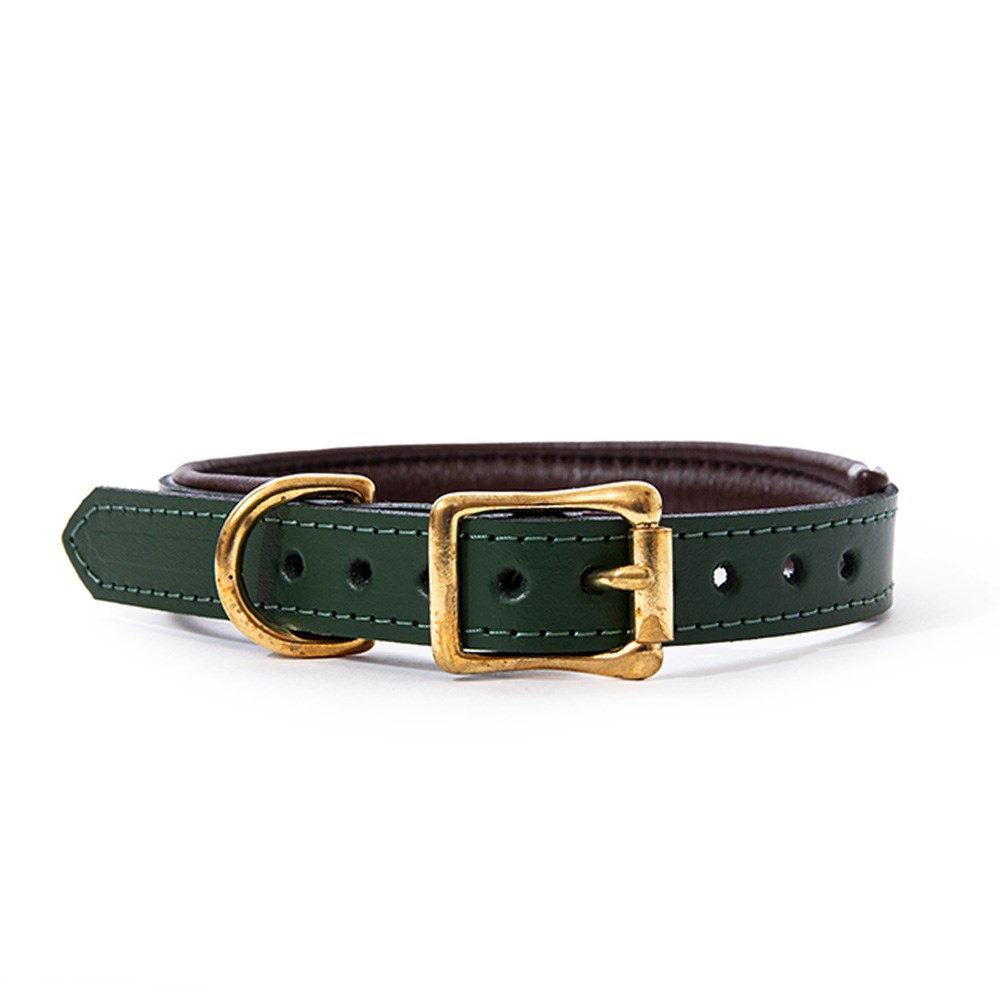 Great & Small Hawkhurst Forest Green Leather Collar