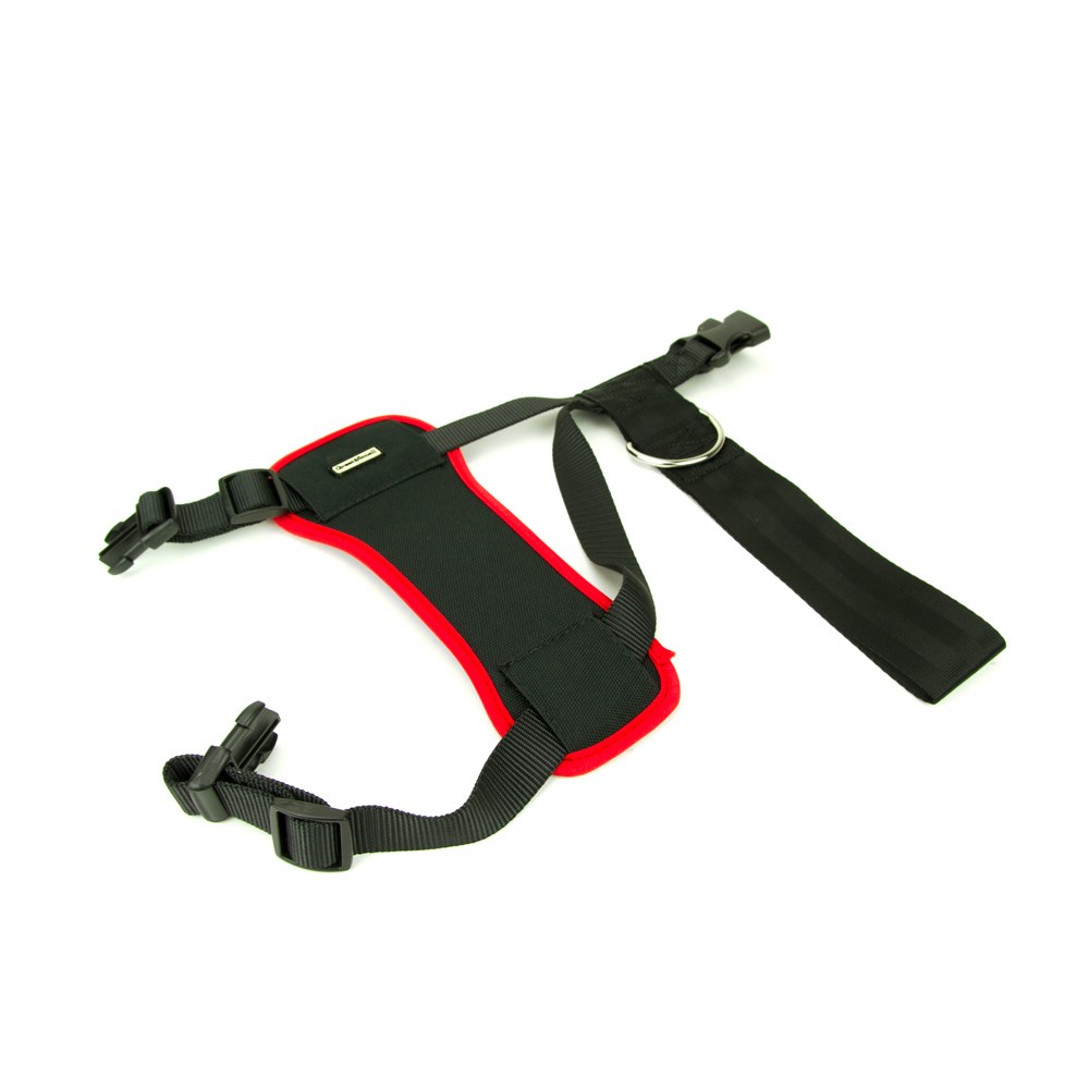 Great & Small Dog Car Harness