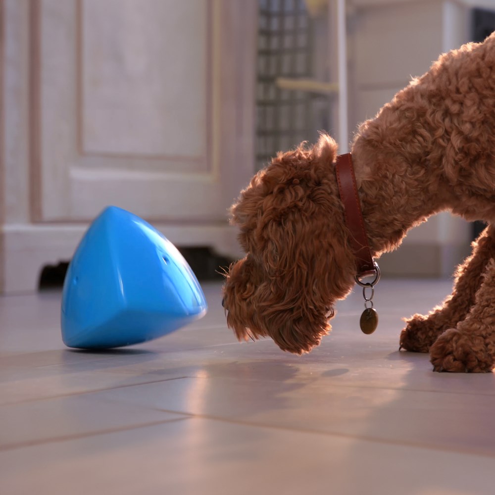 Roolo Treat Dispensing Dog Toy