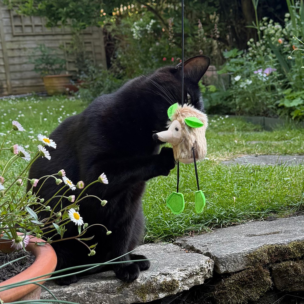 Great & Small Cat Dangler Shake & Squeak Cat Toy