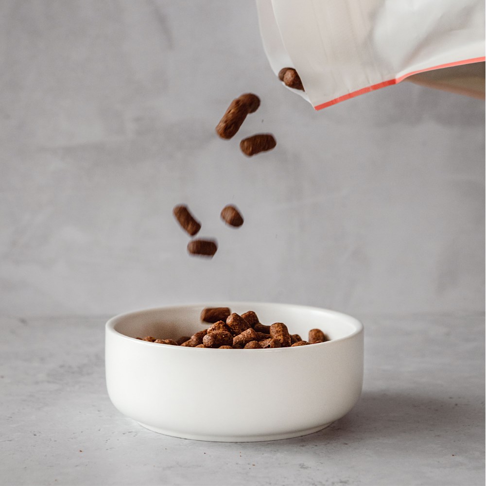 Great & Small Penrose Cream Stoneware Pet Bowl