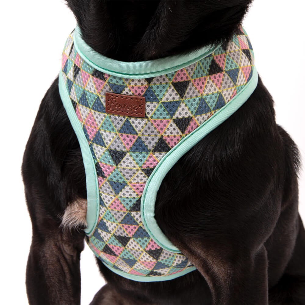Great & Small Penrose Geometric Triangle Mesh Dog Harness