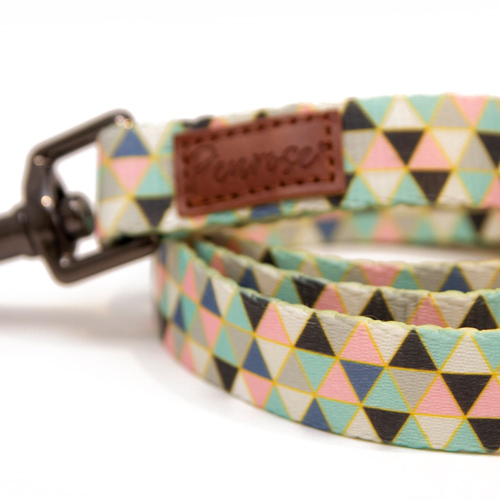 Great & Small Penrose Geometric Triangles Dog Lead