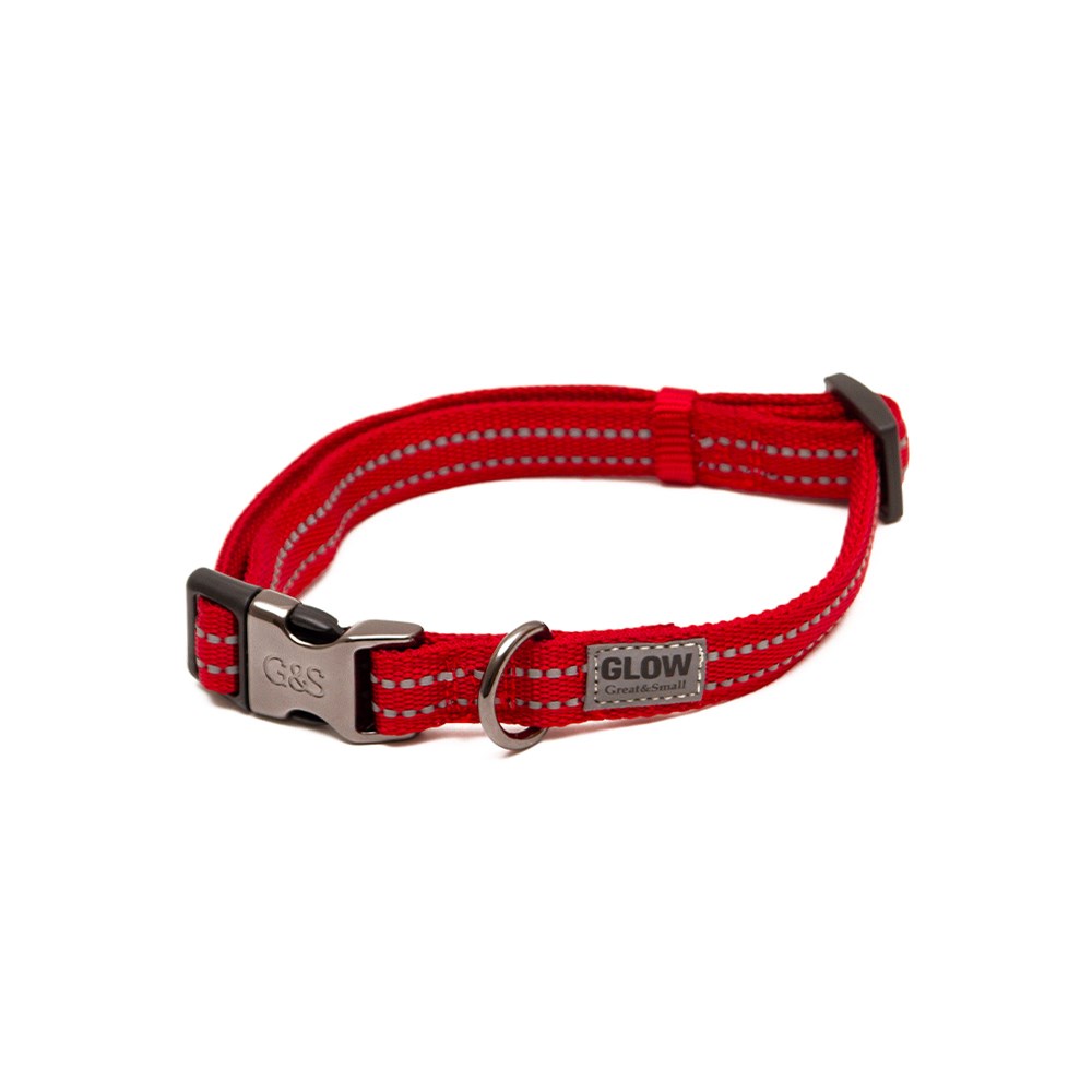 Great & Small Glow Dog Collar Red