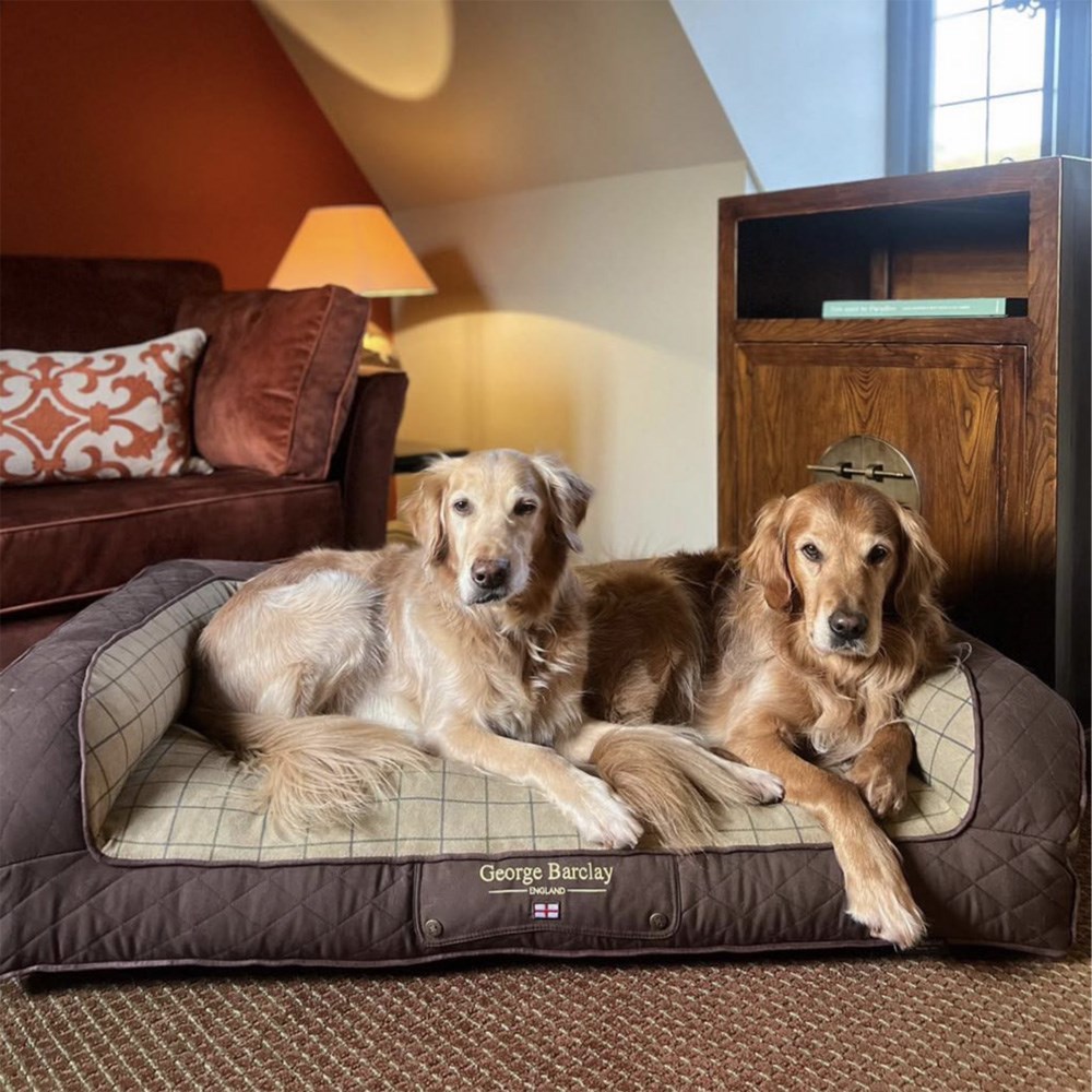 George Barclay Country Dog Sofa Bed Chestnut Brown