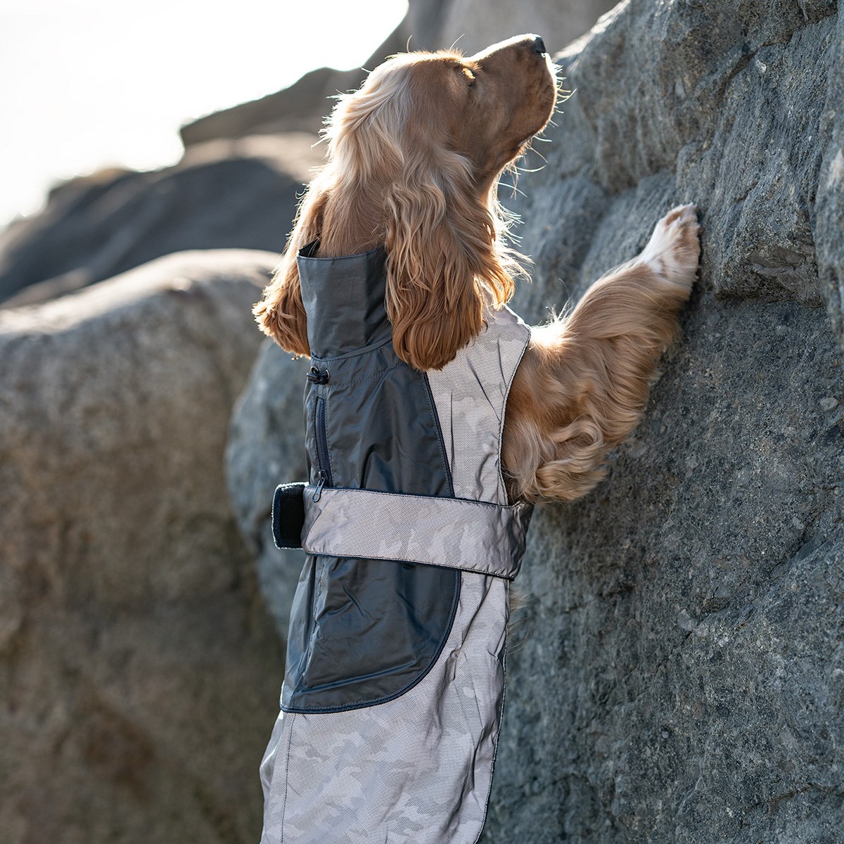 Great & Small Active Reflective Camouflage Dog Raincoat