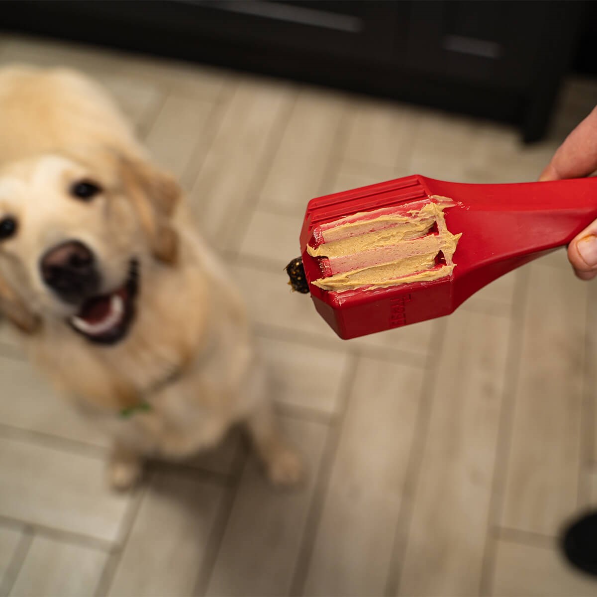 Frogg Fetch Tough Dog Toy