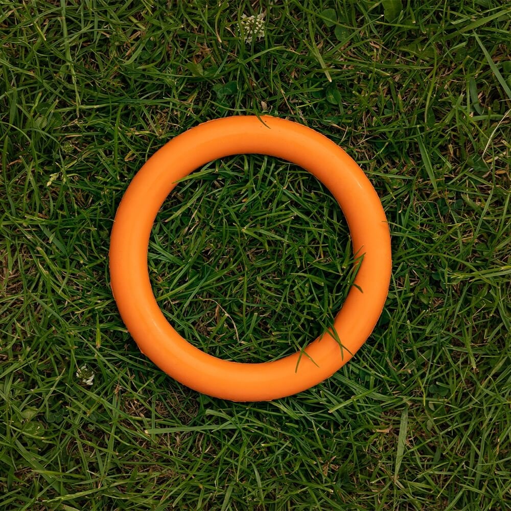 Great & Small 99% Natural Rubber Ring Dog Toy