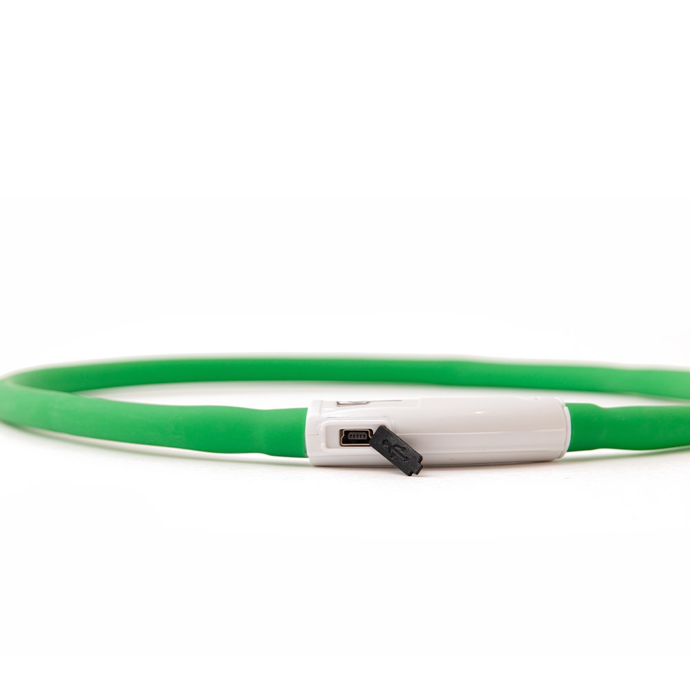 Great & Small Glow LED Rechargeable Dog Collar Green