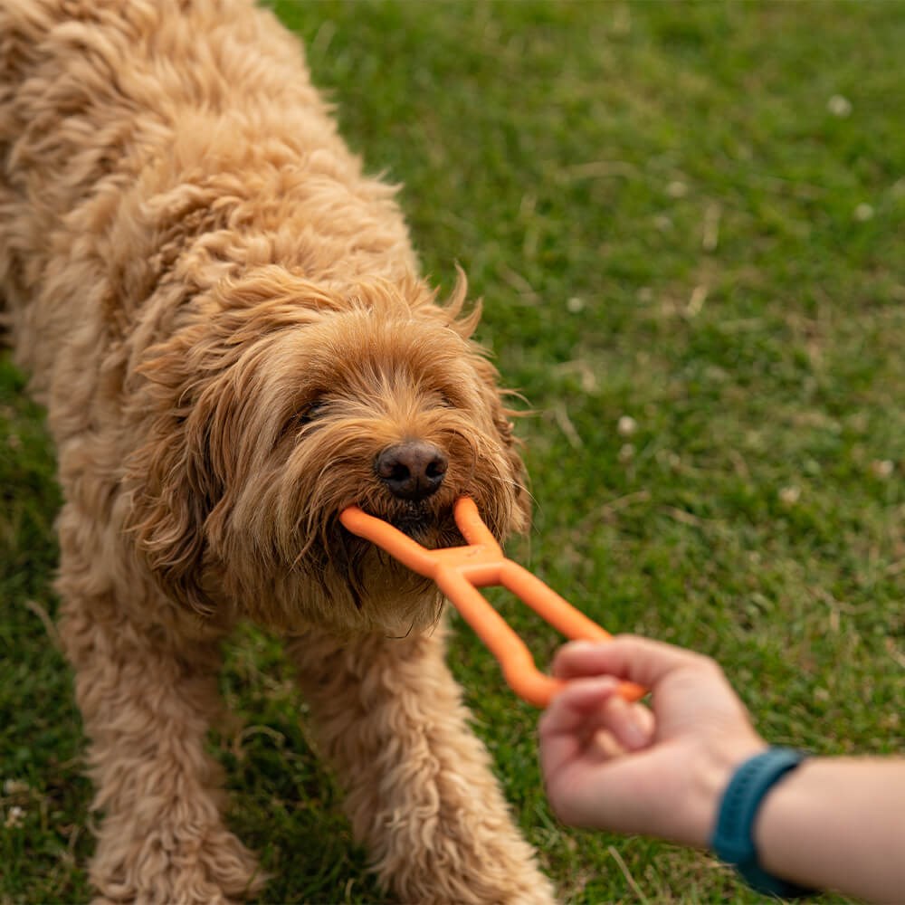 Great & Small 99% Natural Rubber Pull Dog Toy
