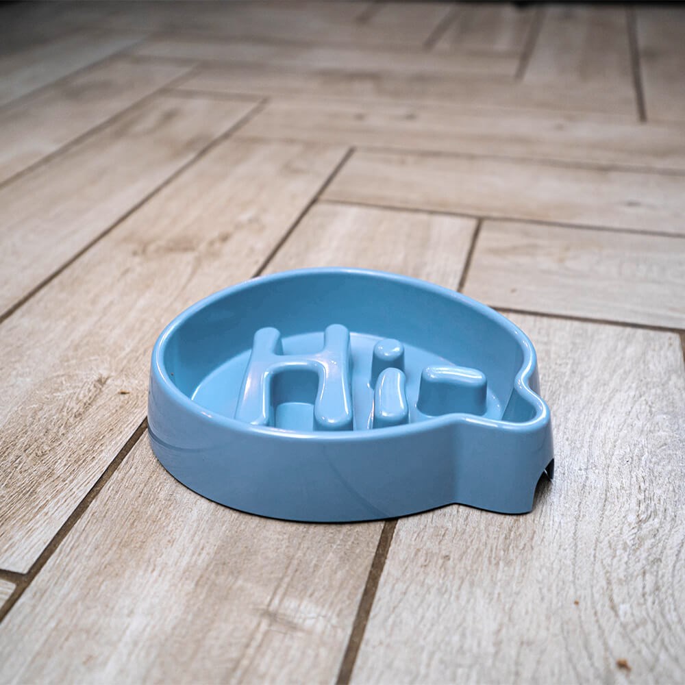 Great & Small Blue Slow Down Hi! Pet Bowl