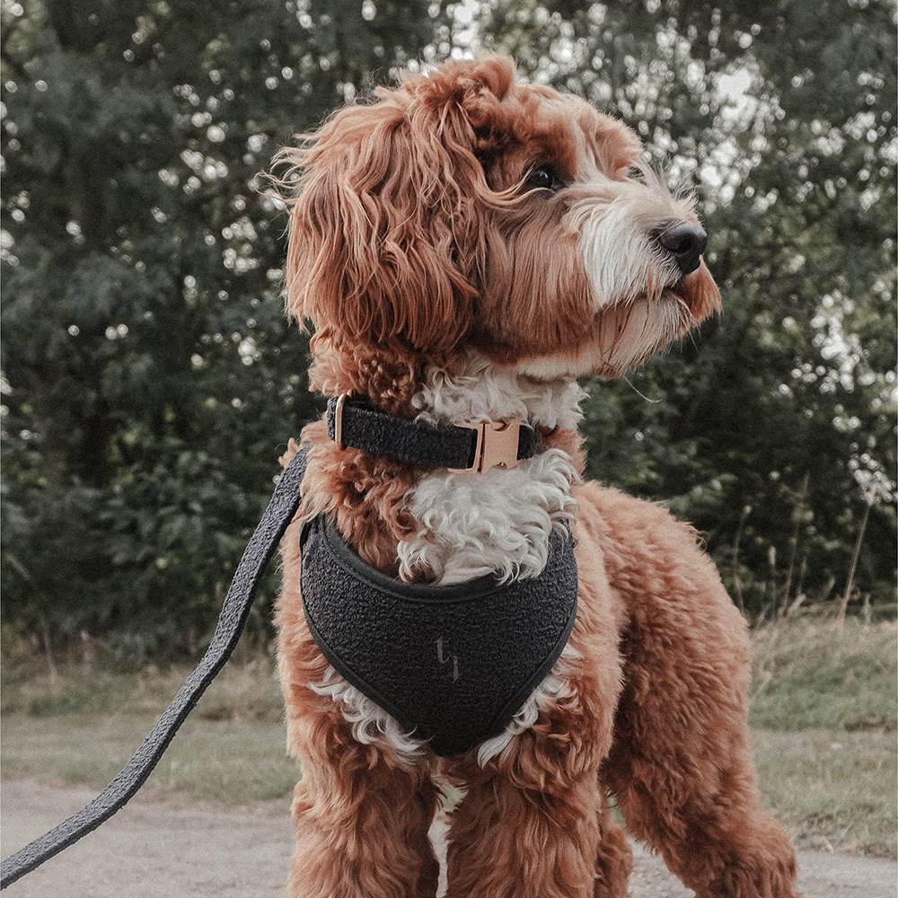 By Teddy Bouclé Adjustable Harness Midnight