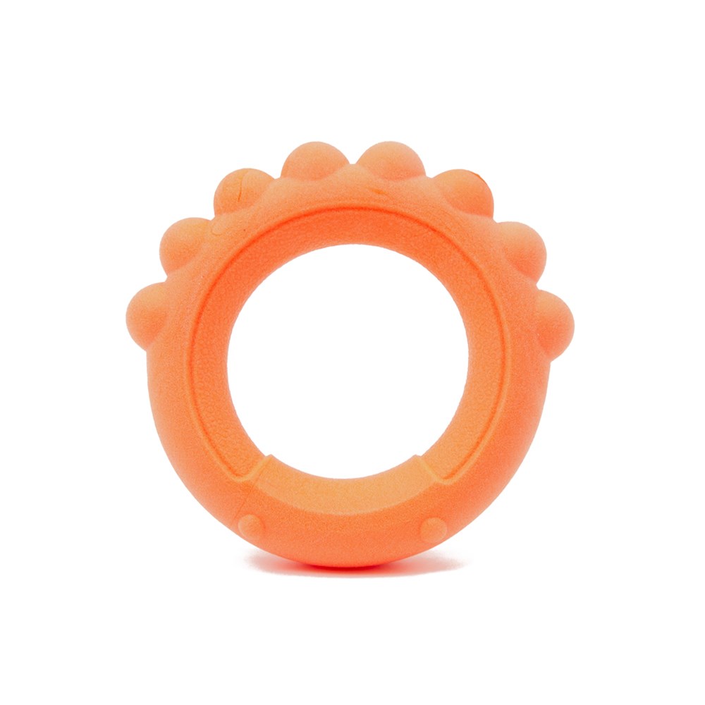 Great & Small Frubba Scent Octo Ring Dog Toy