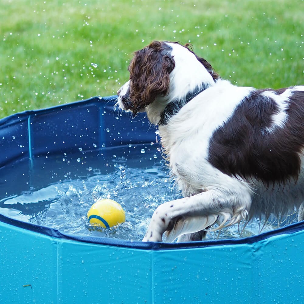 Great & Small Cool Dog Pool