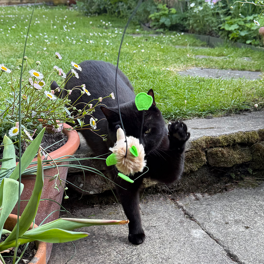 Great & Small Cat Dangler Shake & Squeak Cat Toy