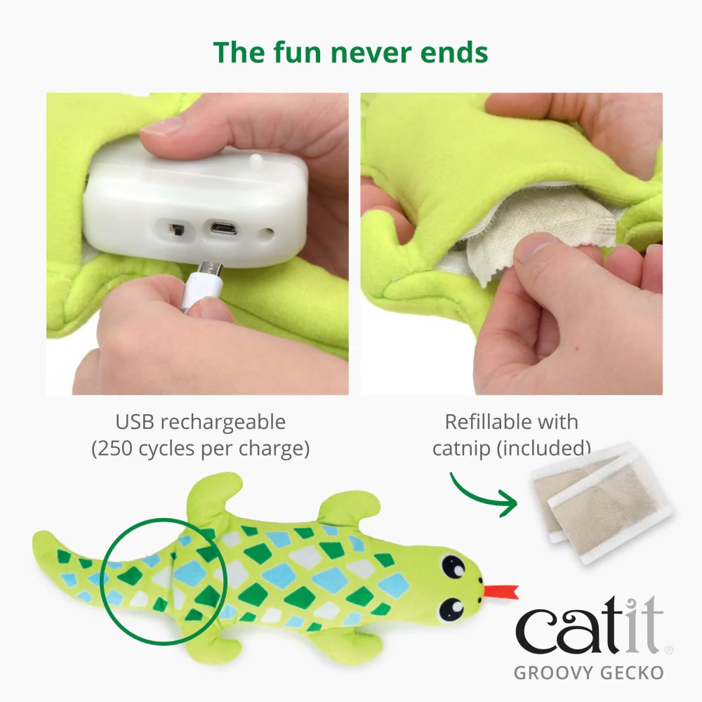 Catit Groovy Gecko Cat Toy