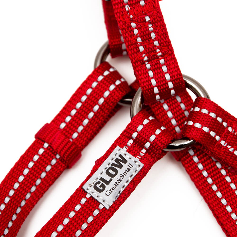 Great & Small Glow Dog Harness Red