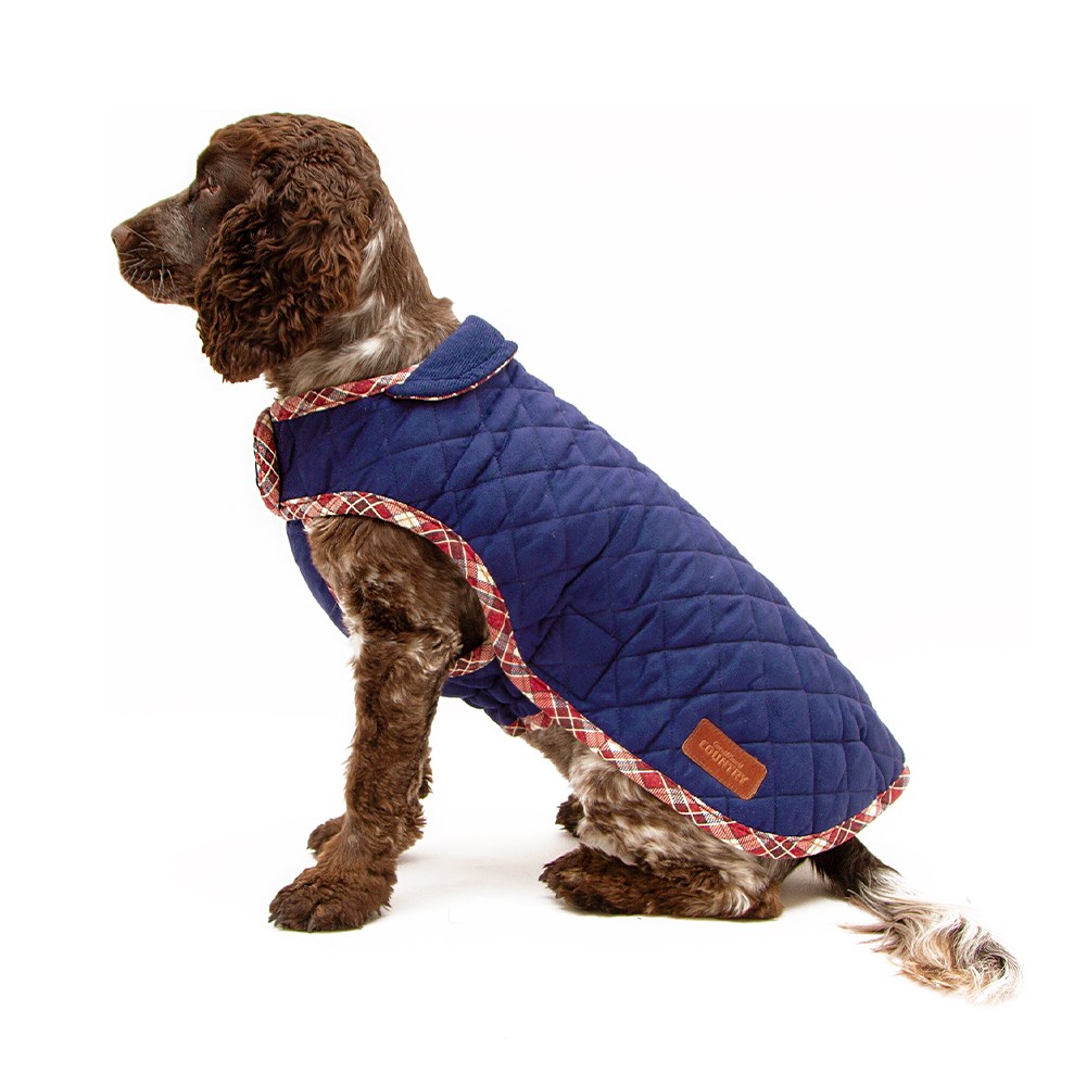 Great & Small Country Quilted Dog Coat Plaid/Navy