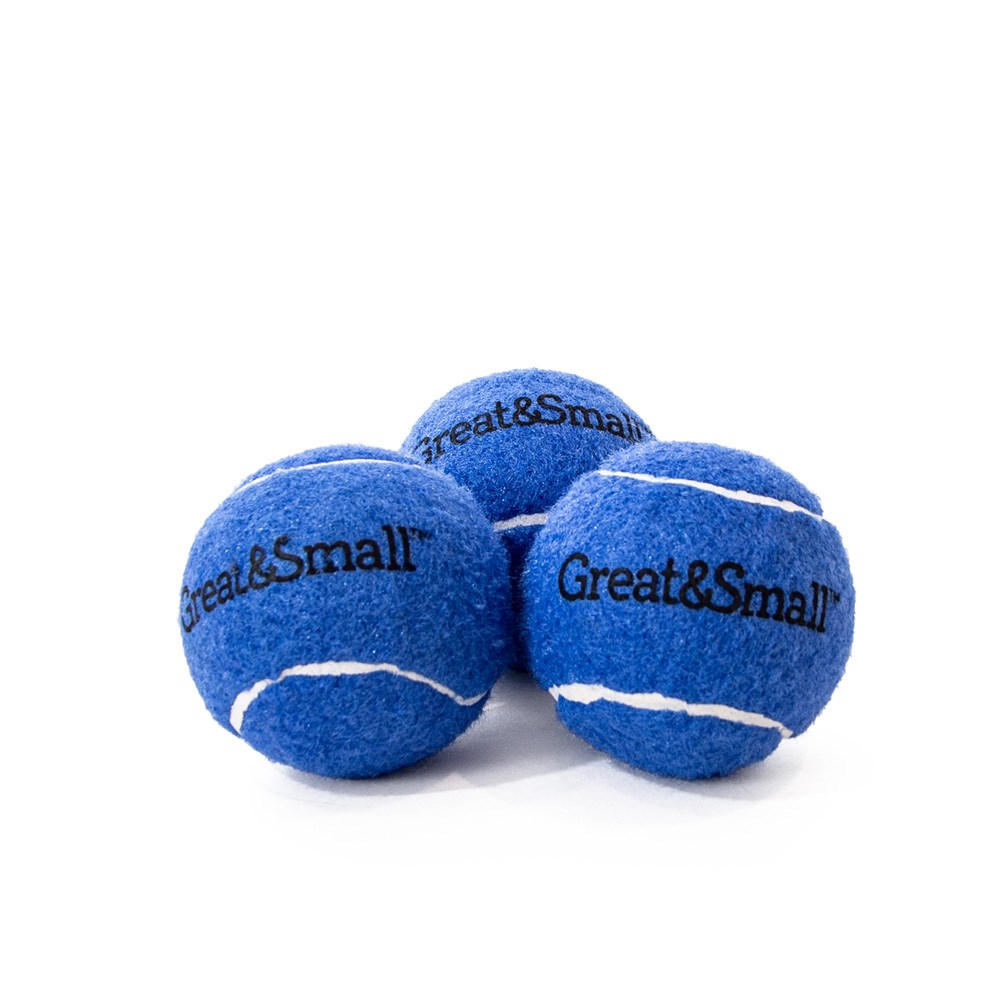 Great & Small Go Team! Squeaky Blue Tennis Ball Dog Toy