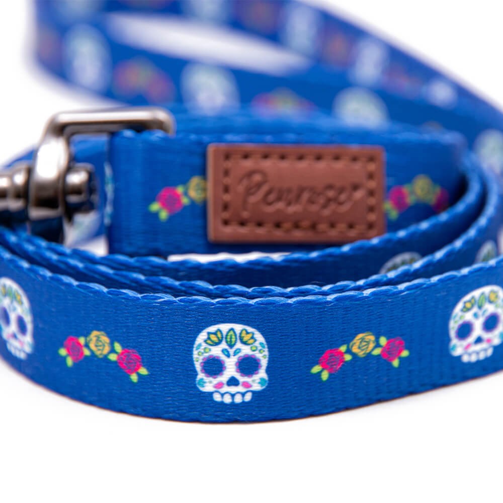 Great & Small Penrose Day of the Dead Blue Dog Lead