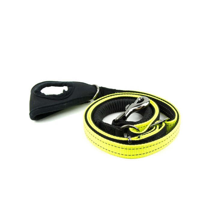 Great & Small Active Hi-Vis Jogging Dog Lead