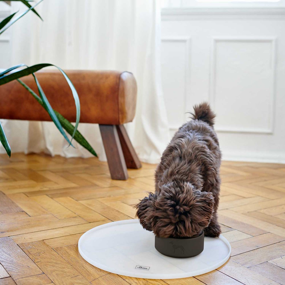 Hunter Osby Glazed Ceramic Dog Bowl Anthracite