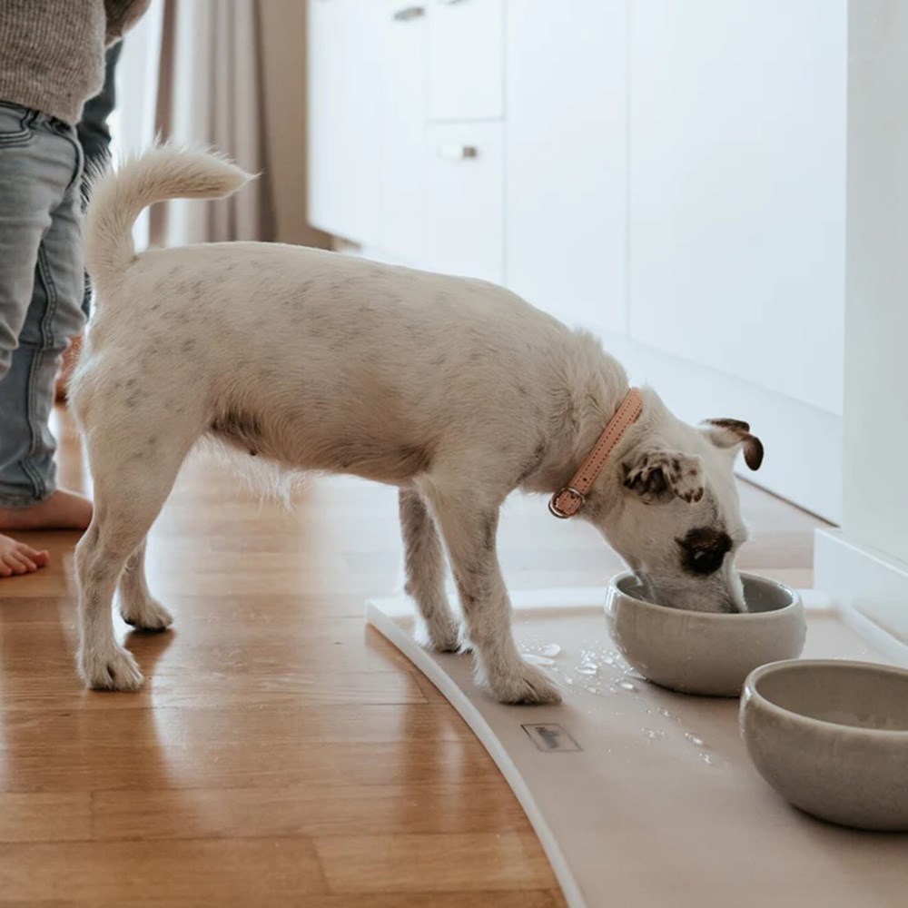 Hunter Dog Feeding Mat Cream