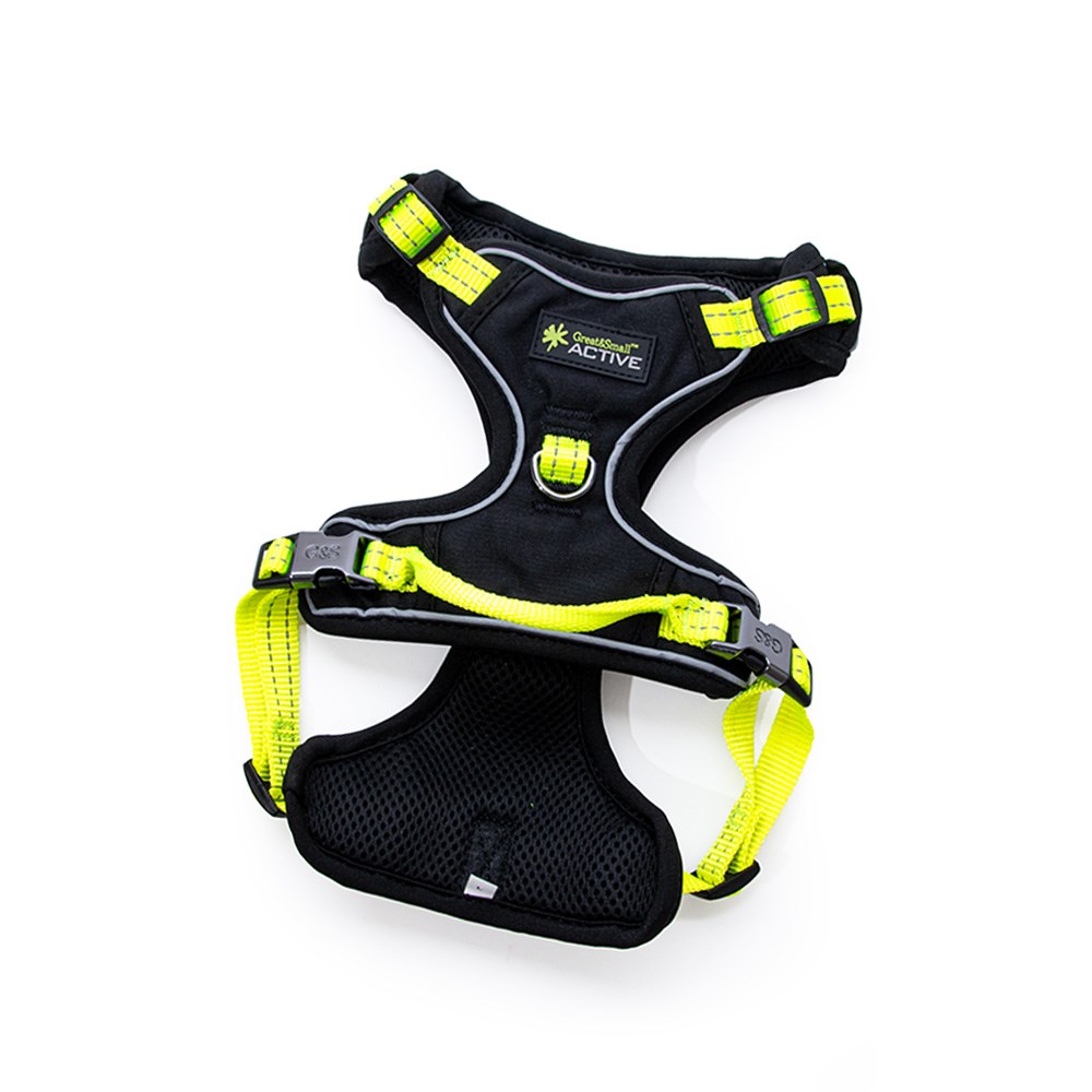 Great & Small Active Full Harness