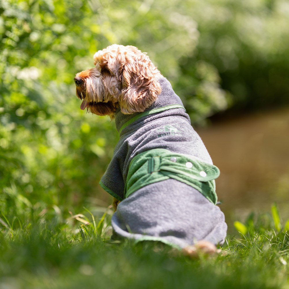 Harbour Hounds Drying Robe Grey/Green Exclusive Colour