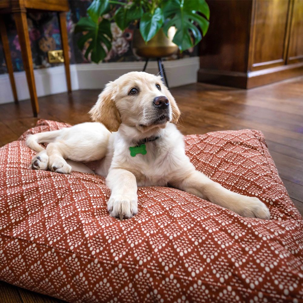 Green Elk Mattress Pet Bed