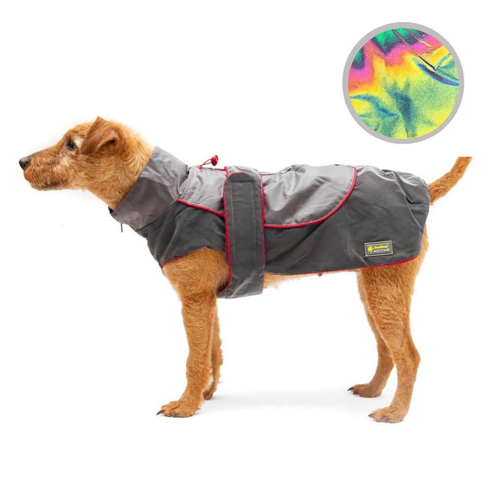 Great & Small Active Reflective Rainbow Raincoat Red Trim Dog Coat